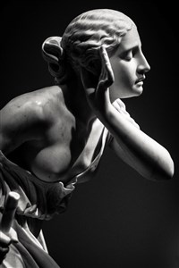 Fine Art - Sculpture
                                